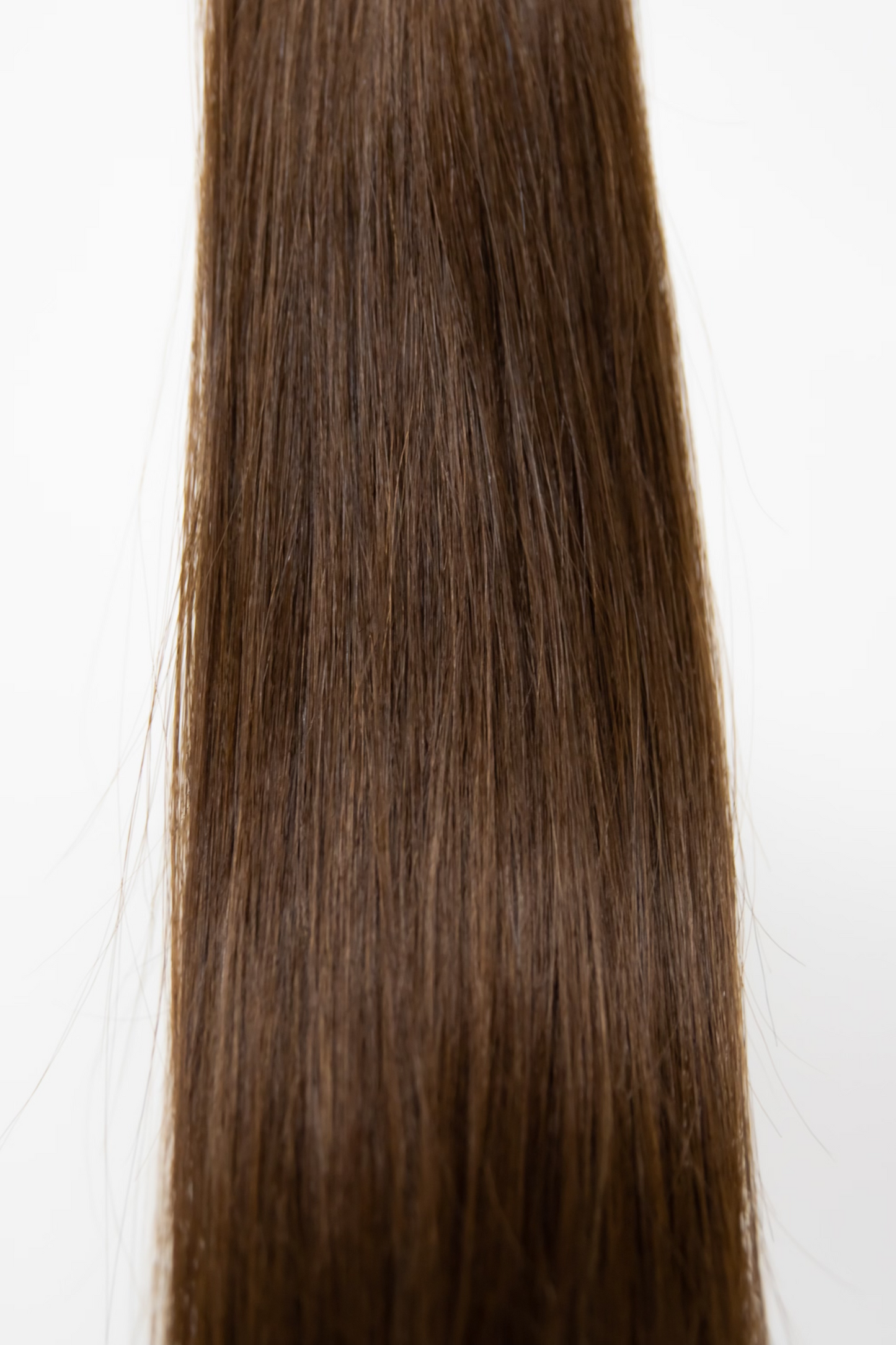 "Elm" Warm Dark Brown Hair Extensions