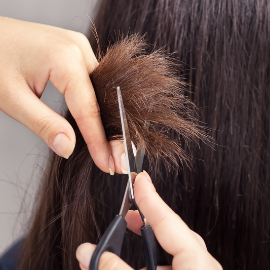 5 Hair Care Tips to Avoid Dead Ends